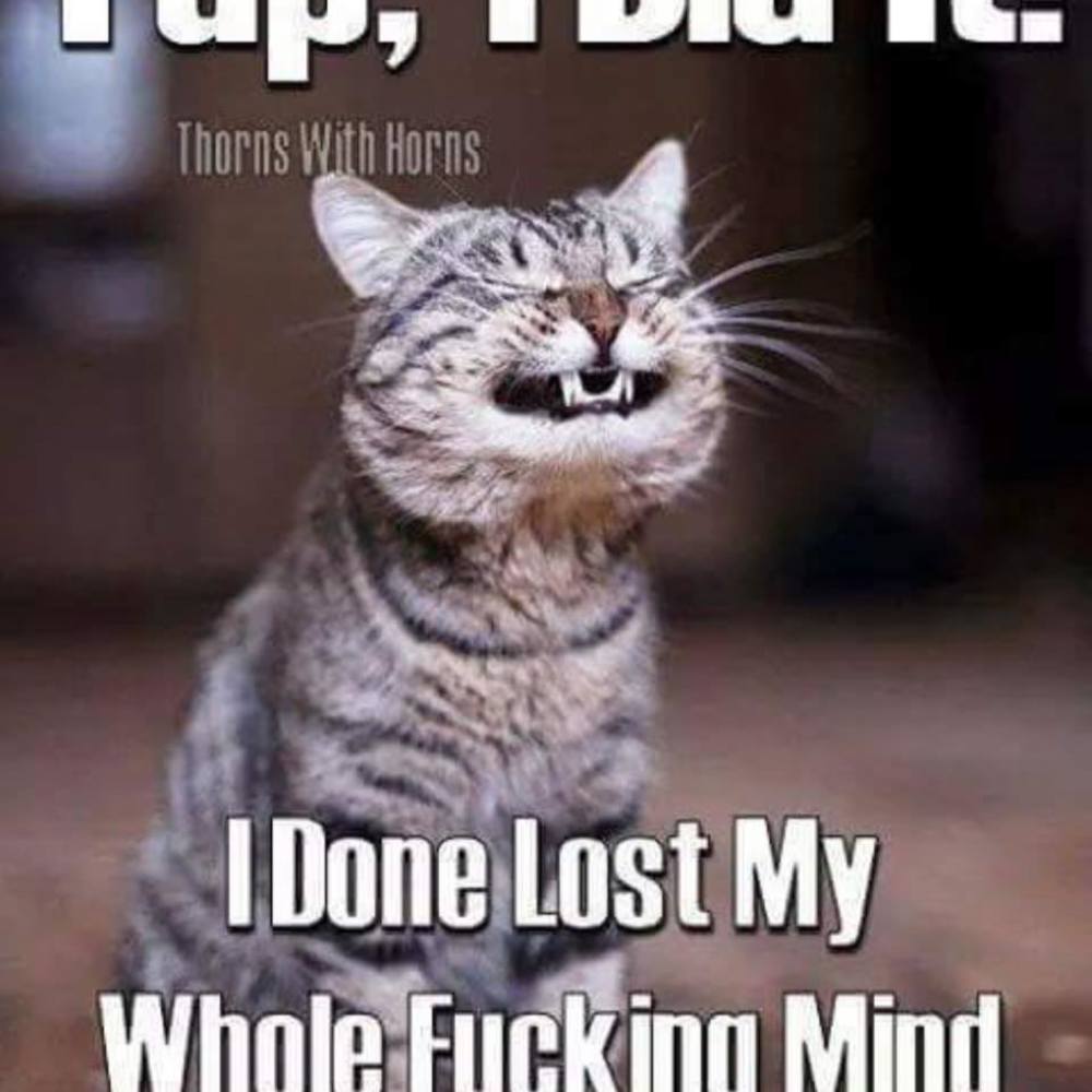 Meet your Posher, Helen